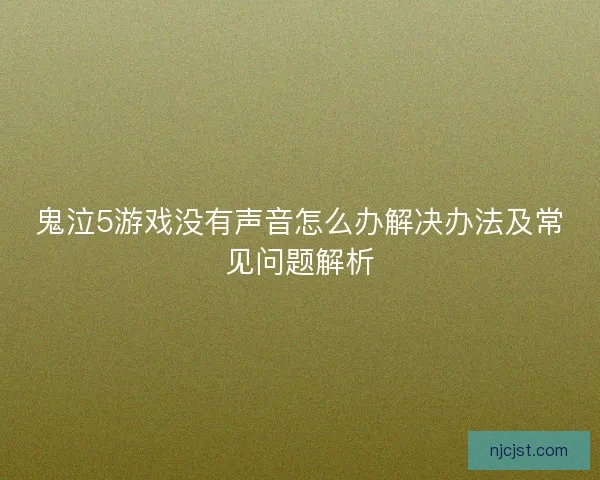 鬼泣5游戏没有声音怎么办解决办法及常见问题解析