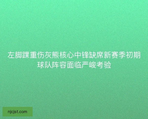 左脚踝重伤灰熊核心中锋缺席新赛季初期球队阵容面临严峻考验
